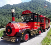 龍之盈游樂觀光小火車可以定制嗎？
