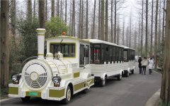 無軌小火車多少錢一輛？掙錢嗎？
